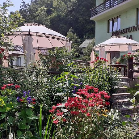 Pensiunea Ana Cavnic Dış mekan fotoğraf